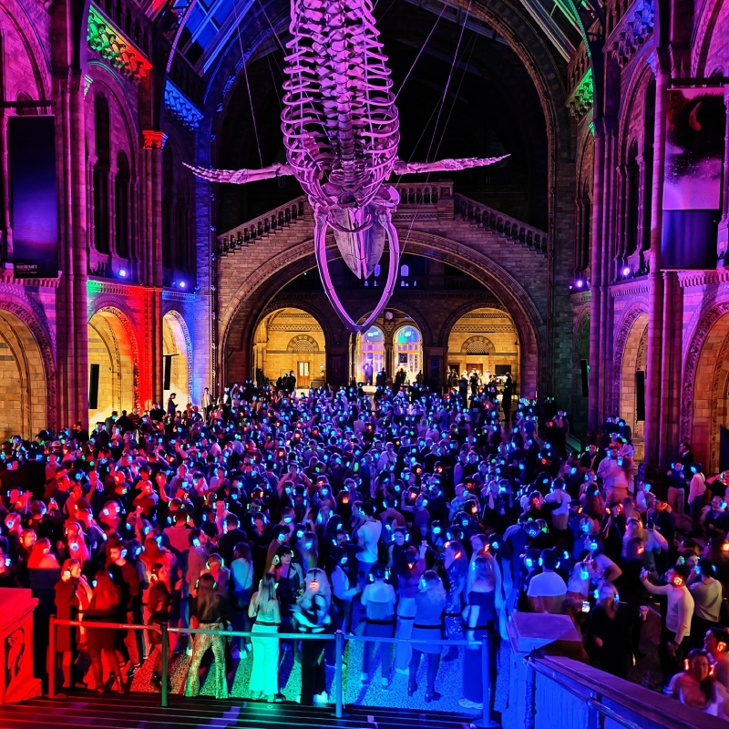 the_artful_dodgems-silent_disco__gallery_7