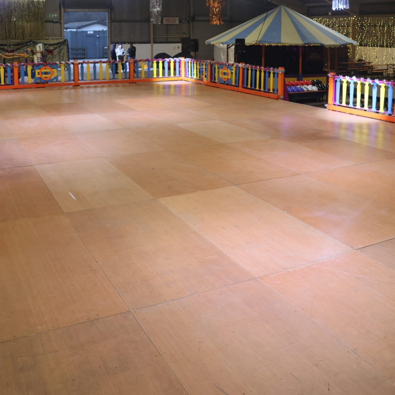 the_artful_dodgems-website_roller_skating_gallery_11